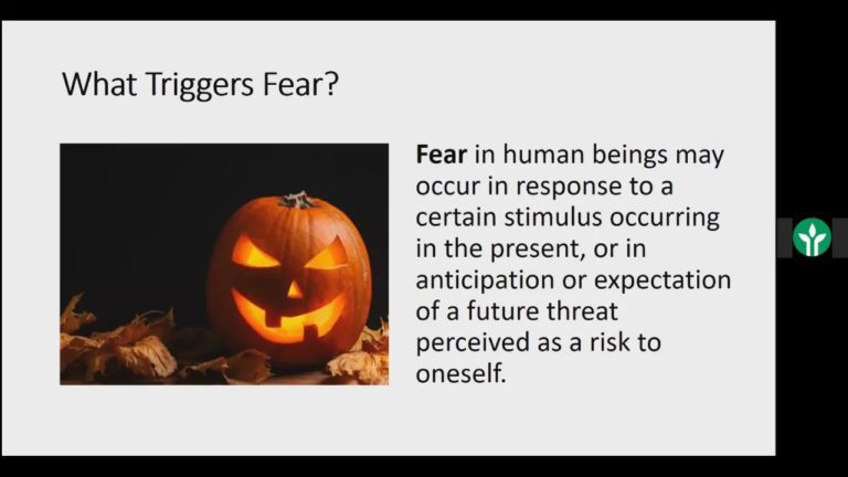 Fear and Confidence